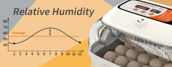 What's the correct humidity for hatching chickens?