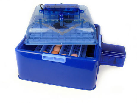 An egg incubator is a machine that artificially provides an egg with 