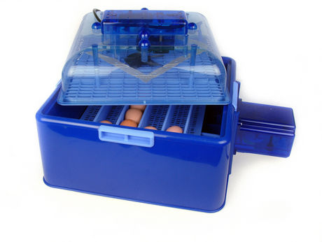 An egg incubator is a machine that artificially provides an egg with