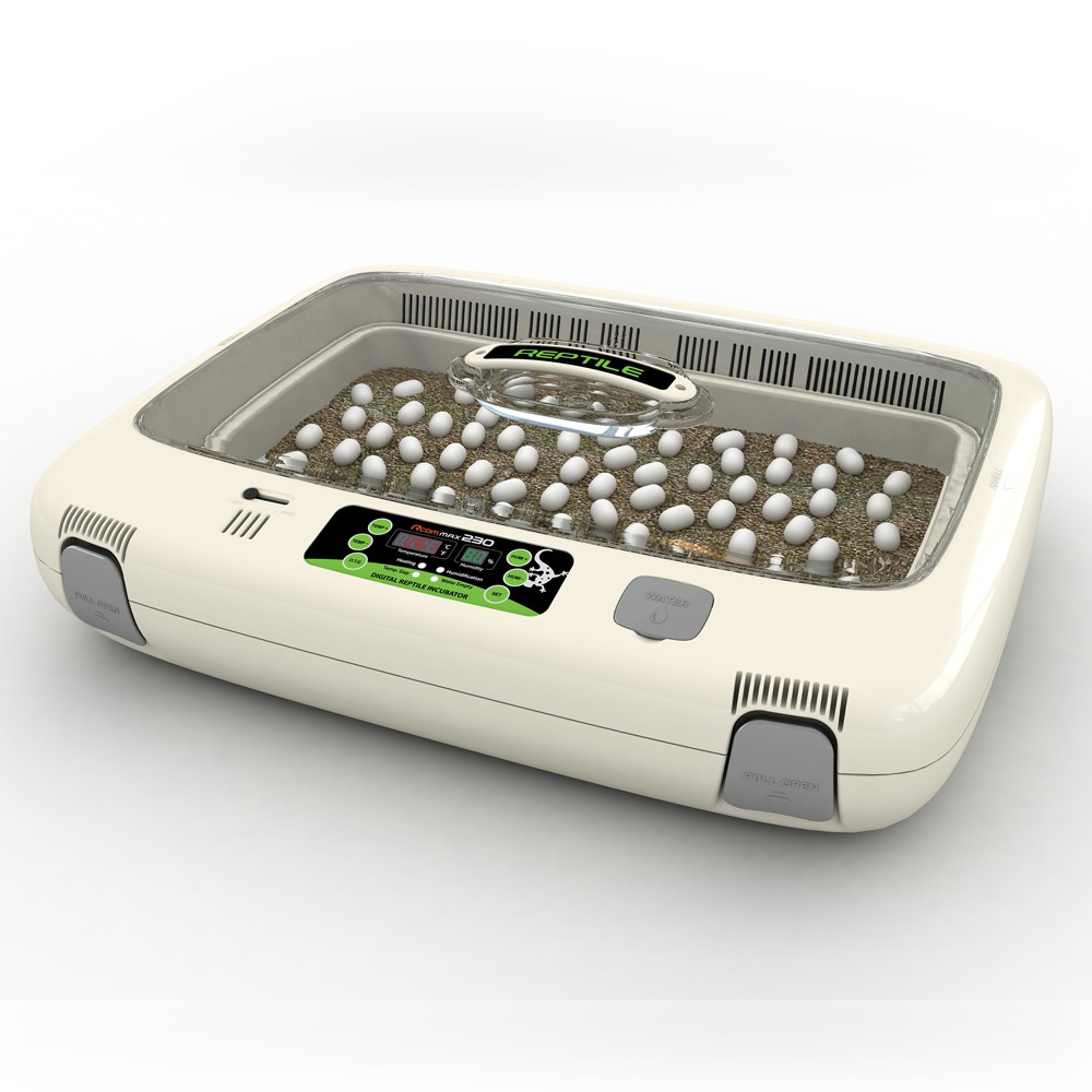 reptile incubator reptile incubator