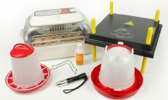 Egg Incubator Kits and Packs