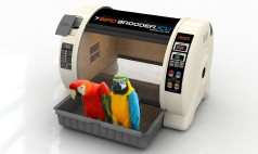 Bird Brooders and Parrot ICUs