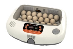 Rcom 20 Egg Incubators