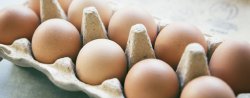 How to store eggs before incubation
