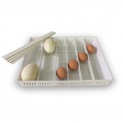 Brinsea Ova Easy Universal Egg Tray (includes dividers )
