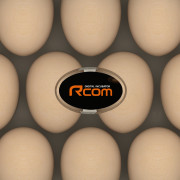 Window Logo Sticker for Rcom 20