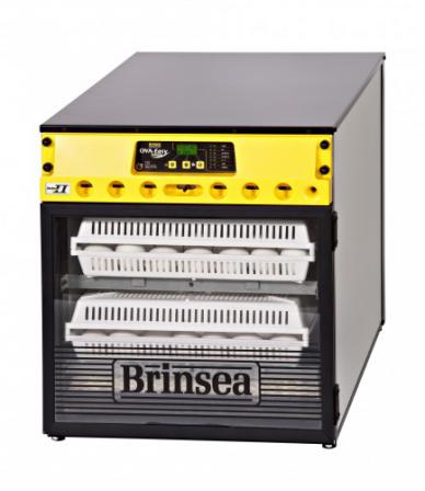 Brinsea Ova-Easy Advance Hatcher* EX Series II