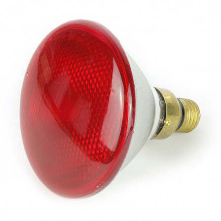 Infra Red Ruby Bulb 150w