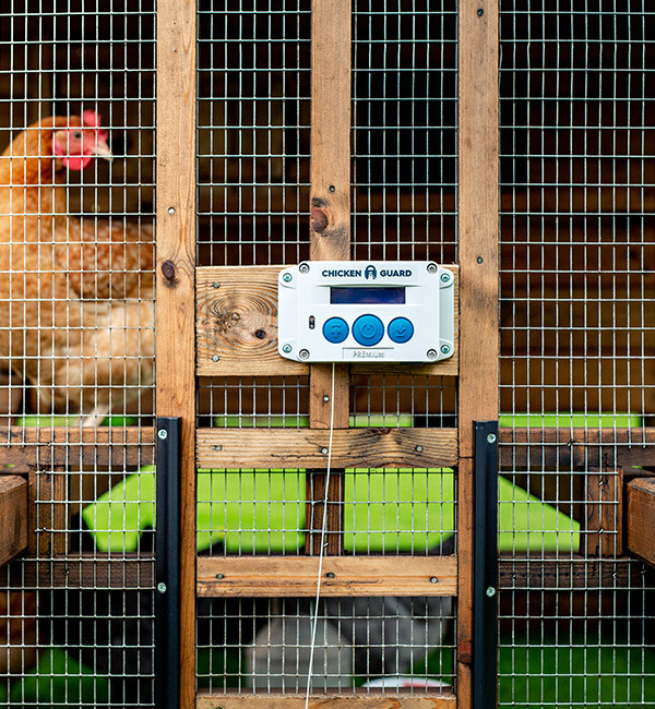 chicken guard door chicken guard door